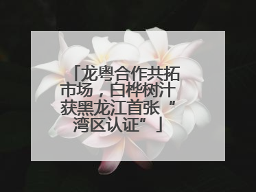 龙粤合作共拓市场，白桦树汁获黑龙江首张“湾区认证”