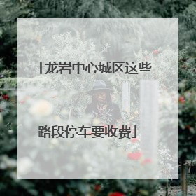 龙岩中心城区这些路段停车要收费