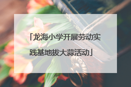 龙海小学开展劳动实践基地拔大蒜活动