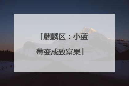 麒麟区：小蓝莓变成致富果