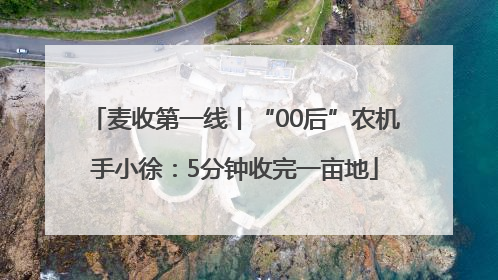 麦收第一线丨“00后”农机手小徐：5分钟收完一亩地