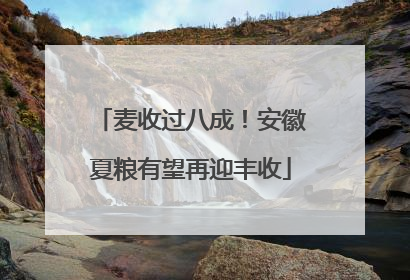 麦收过八成！安徽夏粮有望再迎丰收