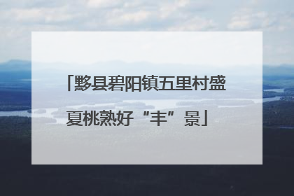 黟县碧阳镇五里村盛夏桃熟好“丰”景