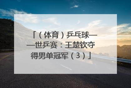 （体育）乒乓球——世乒赛：王楚钦夺得男单冠军（3）
