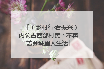 （乡村行·看振兴）内蒙古西部村民：不再羡慕城里人生活