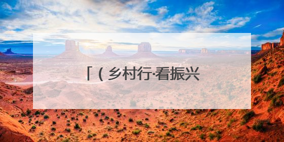 （乡村行·看振兴）广西钦州荔枝集中上市 “荔枝+农文旅融合”助农增收