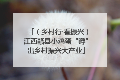 （乡村行·看振兴）江西赣县小鸡蛋“孵”出乡村振兴大产业