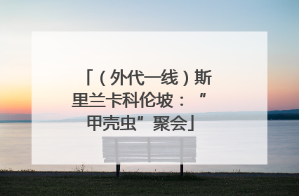 （外代一线）斯里兰卡科伦坡：“甲壳虫”聚会