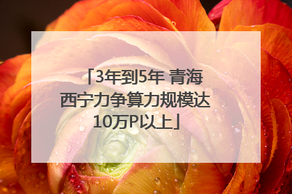 3年到5年 青海西宁力争算力规模达10万P以上