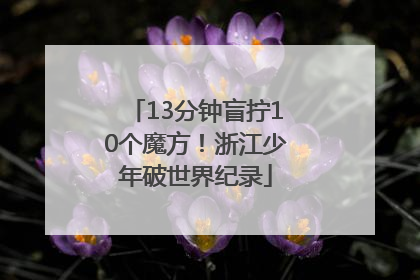 13分钟盲拧10个魔方！浙江少年破世界纪录