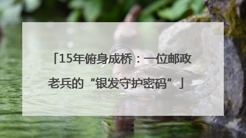 15年俯身成桥：一位邮政老兵的“银发守护密码”