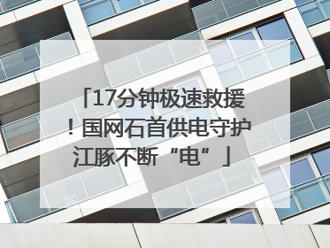 17分钟极速救援！国网石首供电守护江豚不断“电”