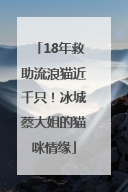 18年救助流浪猫近千只！冰城蔡大姐的猫咪情缘