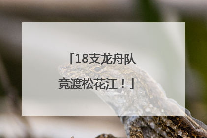 18支龙舟队竞渡松花江！