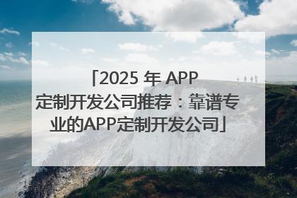 2025 年 APP 定制开发公司推荐：靠谱专业的APP定制开发公司