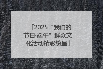 2025“我们的节日·端午”群众文化活动精彩纷呈