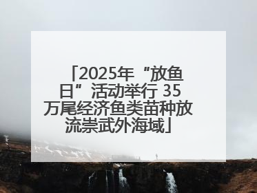 2025年“放鱼日”活动举行 35万尾经济鱼类苗种放流崇武外海域