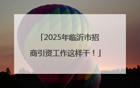 2025年临沂市招商引资工作这样干！