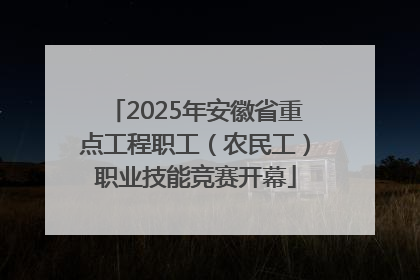 2025年安徽省重点工程职工（农民工）职业技能竞赛开幕