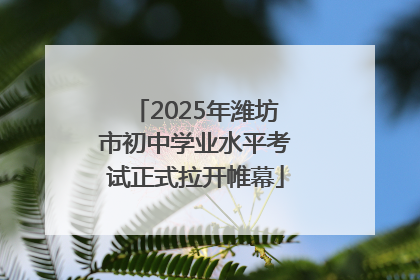 2025年潍坊市初中学业水平考试正式拉开帷幕
