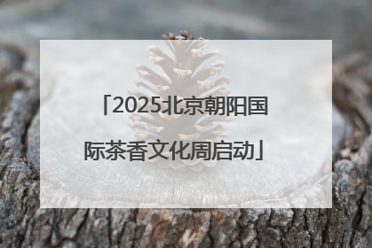 2025北京朝阳国际茶香文化周启动