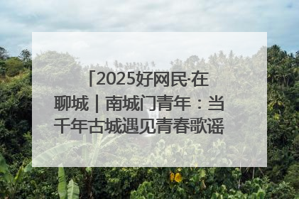 2025好网民·在聊城｜南城门青年：当千年古城遇见青春歌谣 一湖碧水见证的“聊城式浪漫”