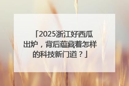 2025浙江好西瓜出炉，背后蕴藏着怎样的科技新门道？