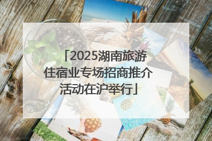 2025湖南旅游住宿业专场招商推介活动在沪举行