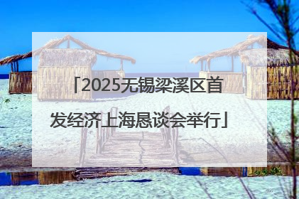 2025无锡梁溪区首发经济上海恳谈会举行
