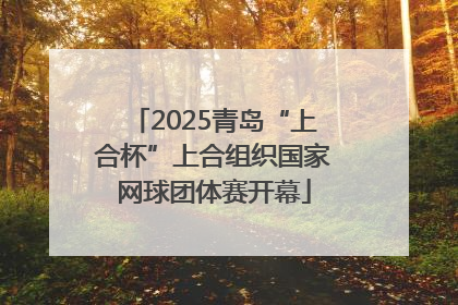 2025青岛“上合杯”上合组织国家网球团体赛开幕