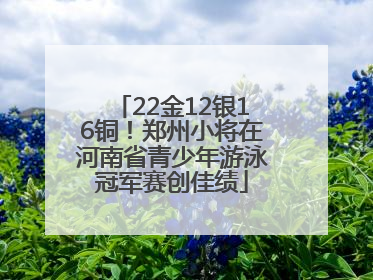 22金12银16铜！郑州小将在河南省青少年游泳冠军赛创佳绩