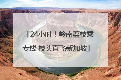24小时！岭南荔枝乘专线 枝头直飞新加坡