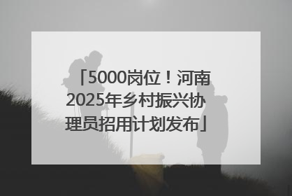 5000岗位！河南2025年乡村振兴协理员招用计划发布