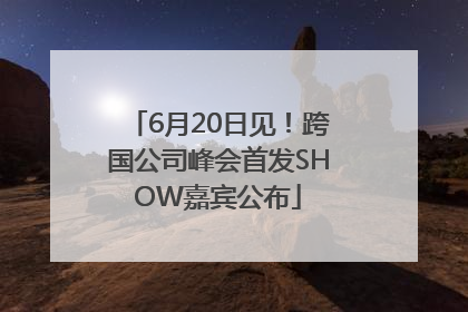 6月20日见！跨国公司峰会首发SHOW嘉宾公布