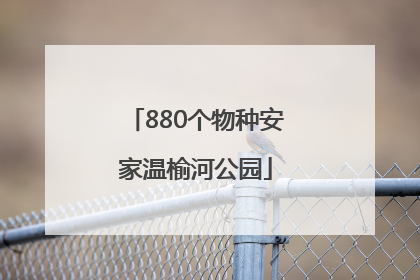 880个物种安家温榆河公园