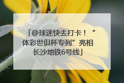 @球迷快去打卡！“体彩世俱杯专列”亮相长沙地铁6号线