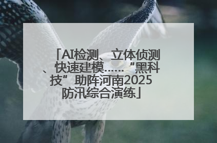 AI检测、立体侦测、快速建模……“黑科技”助阵河南2025防汛综合演练