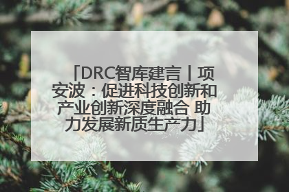DRC智库建言丨项安波：促进科技创新和产业创新深度融合 助力发展新质生产力