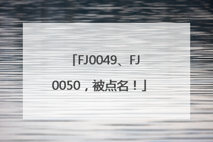 FJ0049、FJ0050，被点名！