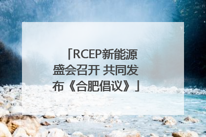 RCEP新能源盛会召开 共同发布《合肥倡议》