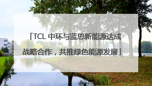 TCL 中环与蓝思新能源达成战略合作，共推绿色能源发展