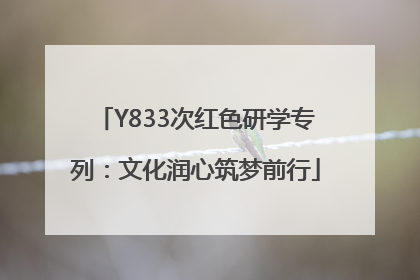Y833次红色研学专列：文化润心筑梦前行